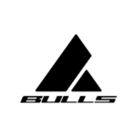 Bulls Logo
