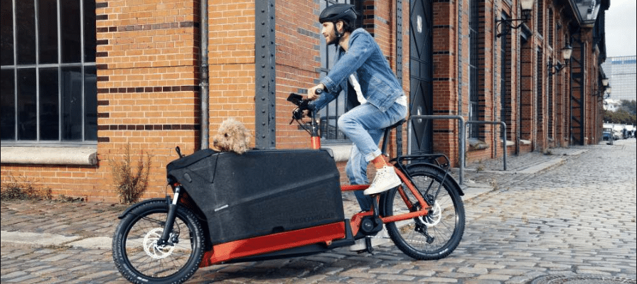 Cargo und Hund